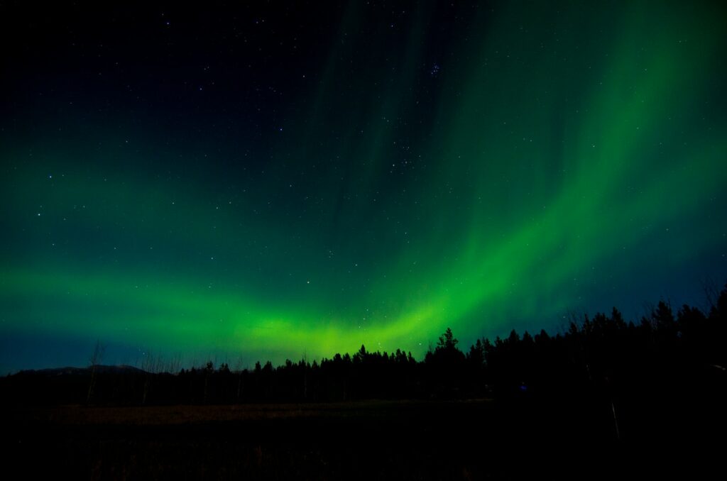 Yukon's Whitehorse - green aurora lights during night time