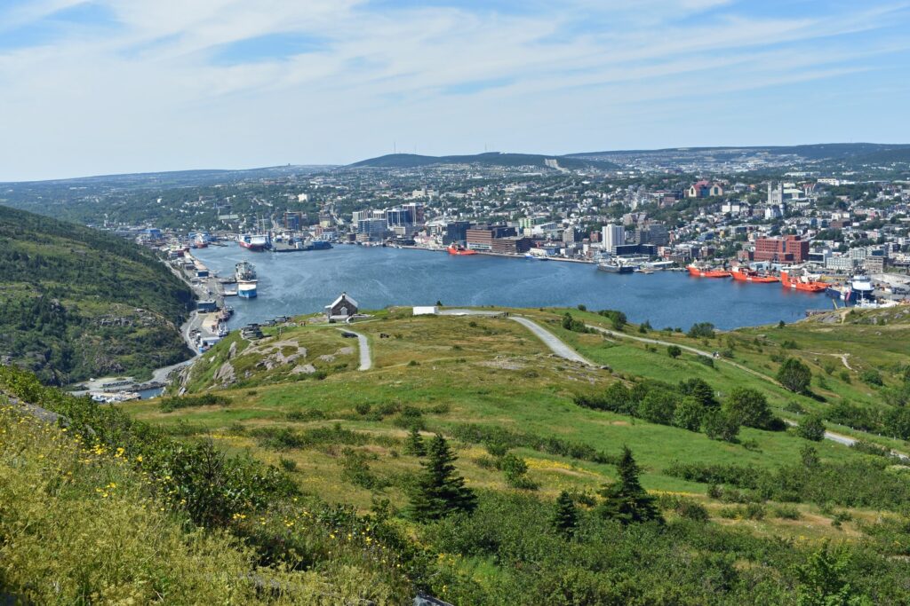 Newfoundland green grass field near city buildings during daytime