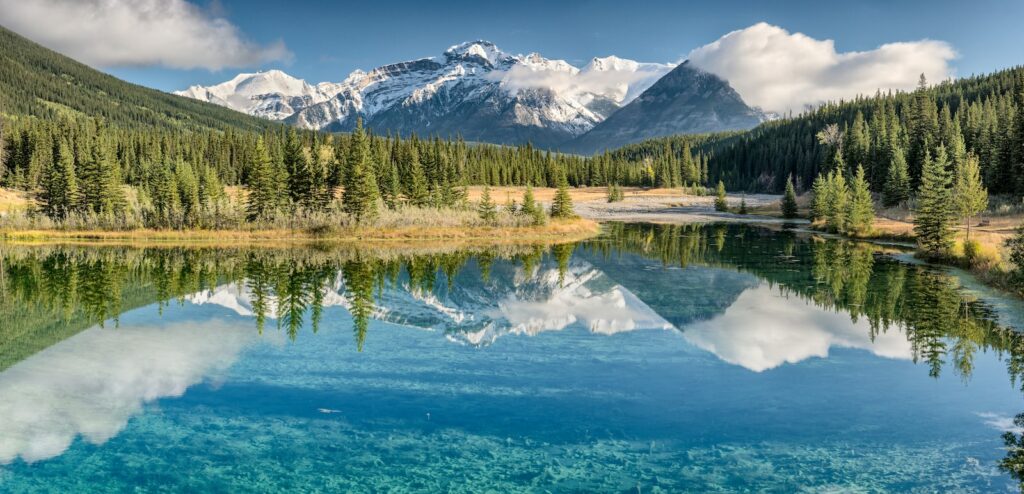 Banff National Park - body of water across trees and mountains