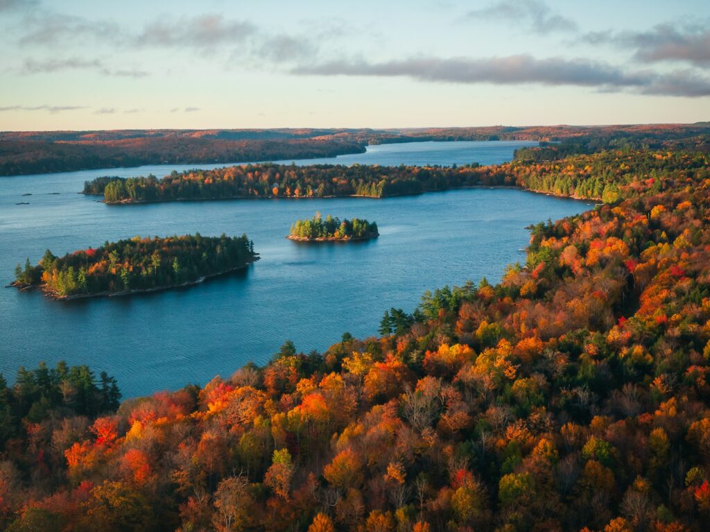 Beautiful and Natural Environment of Canada - green and brown trees beside body of water during daytime